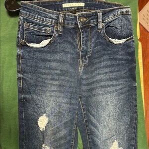 Men's Slim Fit Blue Jeans